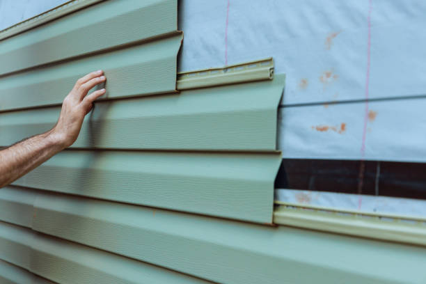 Best Insulated Siding Installation  in Louisa, KY